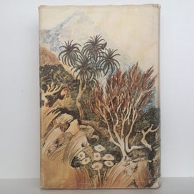 Listing 2 of 11 for PLANTS OF NEW ZEALAND by Laing and Blackwell 1906
