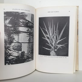 Listing 10 of 11 for PLANTS OF NEW ZEALAND by Laing and Blackwell 1906