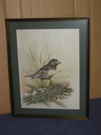 Listing 3 of 15 for Boonleau (NZ ?) ' South Island Robin ' Original Watercolour Painting