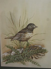 Listing 4 of 15 for Boonleau (NZ ?) ' South Island Robin ' Original Watercolour Painting