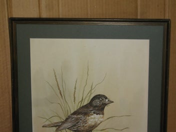 Listing 5 of 15 for Boonleau (NZ ?) ' South Island Robin ' Original Watercolour Painting