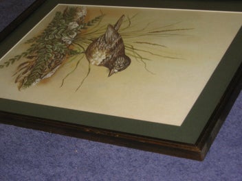 Listing 9 of 15 for Boonleau (NZ ?) ' South Island Robin ' Original Watercolour Painting