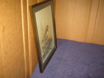 Listing 10 of 15 for Boonleau (NZ ?) ' South Island Robin ' Original Watercolour Painting