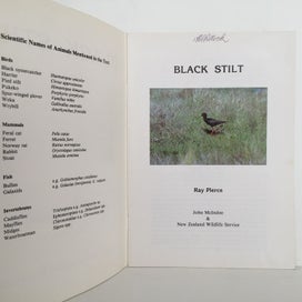Listing 3 of 6 for BLACK STILT by Ray Pierce