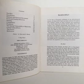 Listing 4 of 6 for BLACK STILT by Ray Pierce
