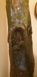 Listing 4 of 7 for Swamp Kauri 150 years old retro vintage