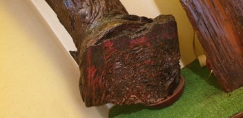 Listing 5 of 7 for Swamp Kauri 150 years old retro vintage