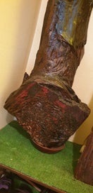 Listing 6 of 7 for Swamp Kauri 150 years old retro vintage