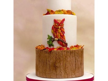 Listing 6 of 9 for Tree Bark Fondant Silicone Mold Pastry Biscuits Chocolate Mold Cookies Candy