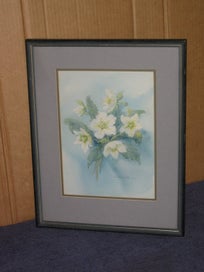 Listing 2 of 16 for Barbara Howie - Hellebores / Winter Roses - Original Artwork Watercolour