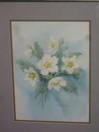 Listing 3 of 16 for Barbara Howie - Hellebores / Winter Roses - Original Artwork Watercolour
