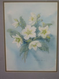 Listing 4 of 16 for Barbara Howie - Hellebores / Winter Roses - Original Artwork Watercolour