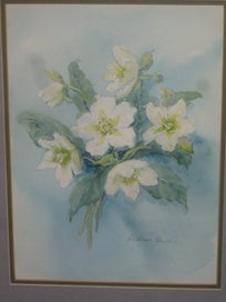 Listing 5 of 16 for Barbara Howie - Hellebores / Winter Roses - Original Artwork Watercolour