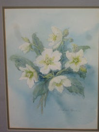 Listing 6 of 16 for Barbara Howie - Hellebores / Winter Roses - Original Artwork Watercolour
