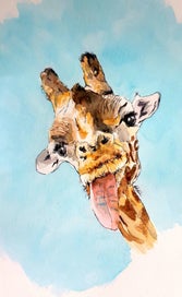 Listing 5 of 6 for ORIGINAL Giraffe Series