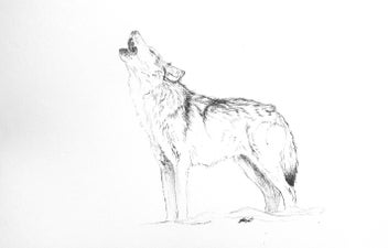 Listing 4 of 18 for ORIGINAL Ballpoint Drawings