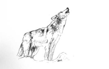 Listing 5 of 18 for ORIGINAL Ballpoint Drawings