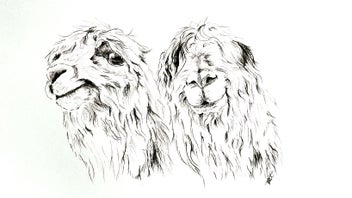 Listing 6 of 18 for ORIGINAL Ballpoint Drawings