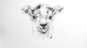 Listing 7 of 18 for ORIGINAL Ballpoint Drawings