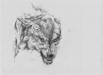 Listing 8 of 18 for ORIGINAL Ballpoint Drawings