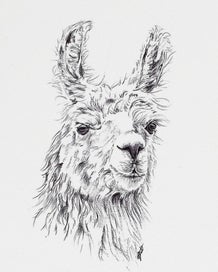 Listing 10 of 18 for ORIGINAL Ballpoint Drawings