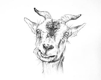 Listing 12 of 18 for ORIGINAL Ballpoint Drawings