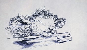 Listing 13 of 18 for ORIGINAL Ballpoint Drawings