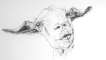 Listing 14 of 18 for ORIGINAL Ballpoint Drawings