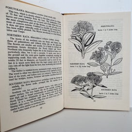 Listing 4 of 4 for NATIVE TREES by Bruce Hamlin 1962