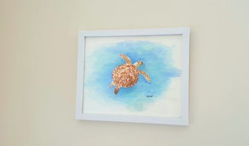 Listing 1 of 1 for FRAMED Watercolour Turtle Series