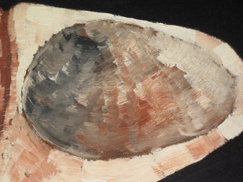 Listing 8 of 11 for Retro 1969 Signed - Sea Shell - Original Painting