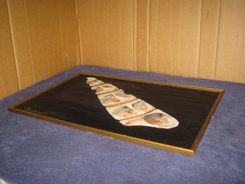 Listing 9 of 11 for Retro 1969 Signed - Sea Shell - Original Painting