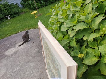 Listing 4 of 6 for Original Gouache Landscape Painting