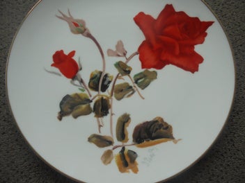 Listing 2 of 6 for Spectacular fine china display plate - Noritake, Japan