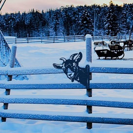 Listing 5 of 6 for Funny Farm Metal Art Outdoor DA©cor-Goat