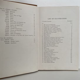 Listing 9 of 14 for NEW ZEALAND NATURE STUDY by W Martin 1947 1st Edition