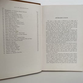 Listing 10 of 14 for NEW ZEALAND NATURE STUDY by W Martin 1947 1st Edition