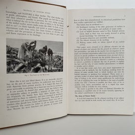 Listing 11 of 14 for NEW ZEALAND NATURE STUDY by W Martin 1947 1st Edition