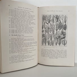 Listing 13 of 14 for NEW ZEALAND NATURE STUDY by W Martin 1947 1st Edition