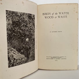 Listing 6 of 11 for BIRD of the WATER, WOOD & WATSE by H. Guthrie-Smith 1927