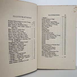 Listing 8 of 11 for BIRD of the WATER, WOOD & WATSE by H. Guthrie-Smith 1927