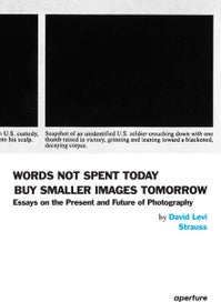 Listing 1 of 1 for David Levi Strauss: Words Not Spent Today Buy Smaller Images Tomorrow