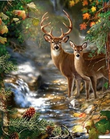 Listing 1 of 1 for DIY 5D Diamond Painting Cross Stitch Animals Pictures Of Rhinestones Need CHK177