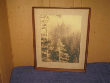 Listing 2 of 9 for Tall Trees In The Mist photo 1970s?