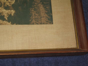 Listing 6 of 9 for Tall Trees In The Mist photo 1970s?