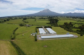 Streamside Chicken farm