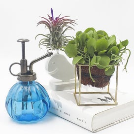 Listing 5 of 5 for Bran Light Green Glass Spraying Plants, 16 Cm High Vintage -style Plant Fogger W