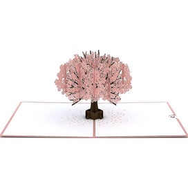Listing 3 of 5 for Bran Cherry Blossom Classic Pop Up Card - 3d Card, Mothers Day Card, Card For Wi