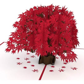 Listing 2 of 5 for Cherry Blossom Classic Pop Up Card - 3d Card, Mothers Day Card, Card For Wife, C