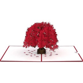 Listing 3 of 5 for Cherry Blossom Classic Pop Up Card - 3d Card, Mothers Day Card, Card For Wife, C